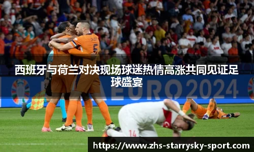 西班牙与荷兰对决现场球迷热情高涨共同见证足球盛宴